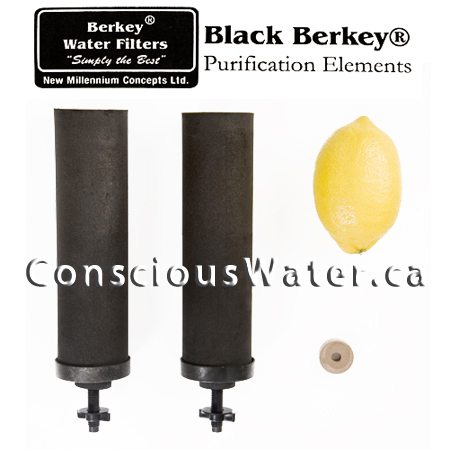 Black Berkey Purification Elements (set of 2) | Conscious Water