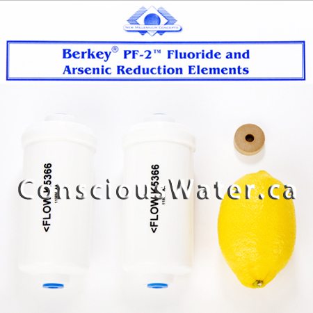 berkey-pf-2-fluoride-water-filter