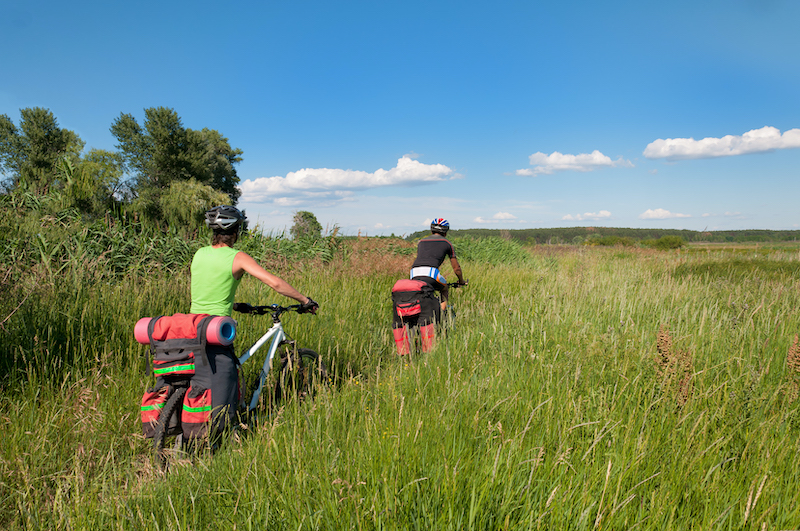A group of cyclists on a mountain bike rides through the tall grass. Ukraine.